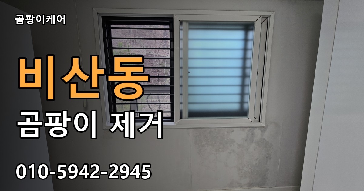 비산동 곰팡이 제거 - 곰팡이케어 실제 시공 현장
