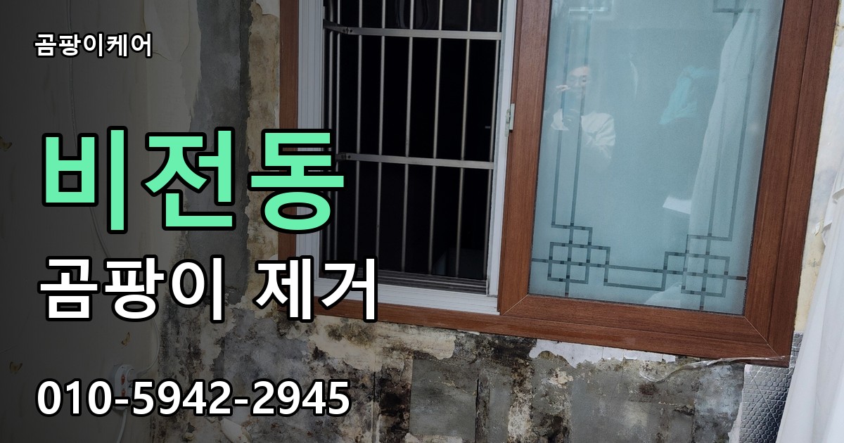 비전동 곰팡이 제거 - 곰팡이케어 실제 시공 현장