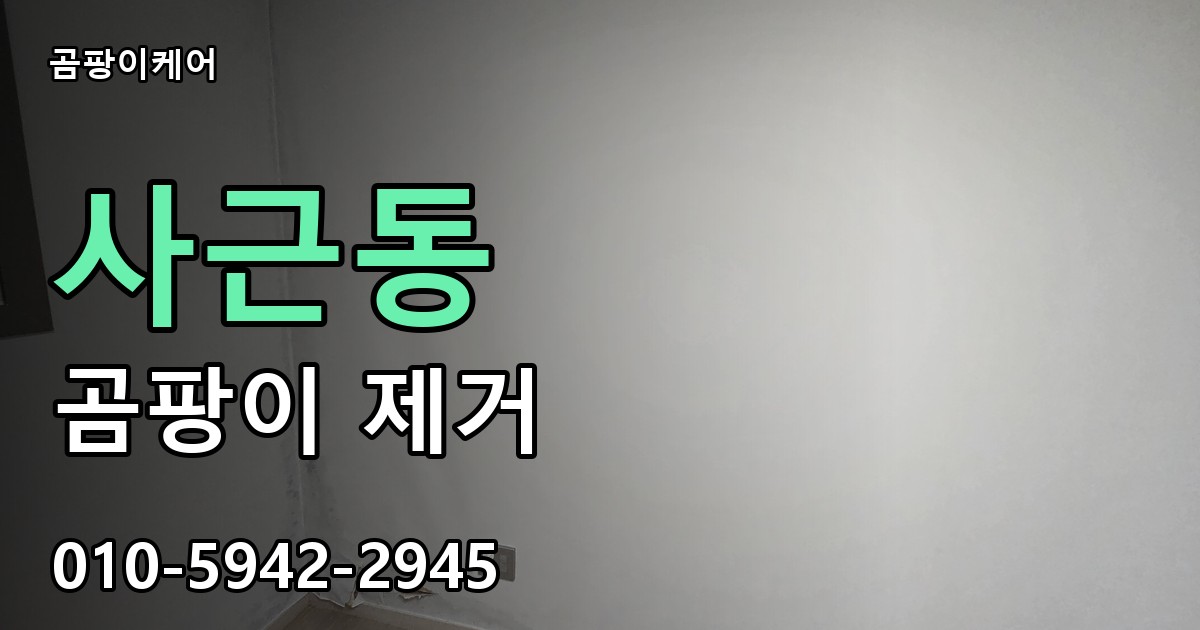 사근동 곰팡이 제거 - 곰팡이케어 실제 시공 현장