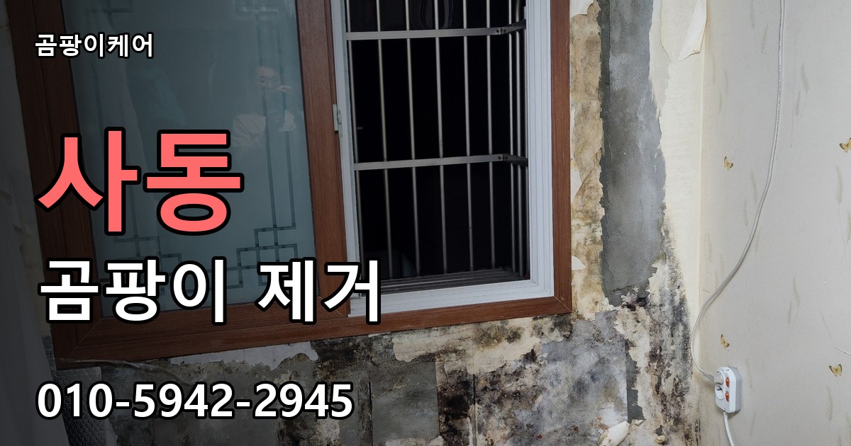 사동 곰팡이 제거 - 곰팡이케어 실제 시공 현장