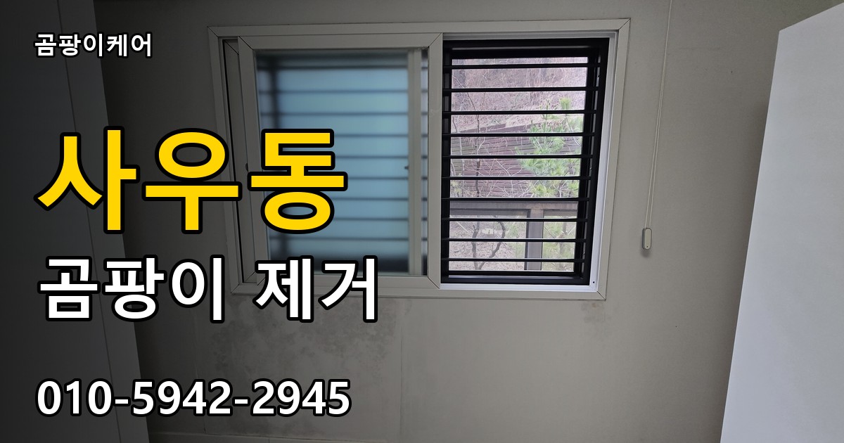 사우동 곰팡이 제거 - 곰팡이케어 실제 시공 현장