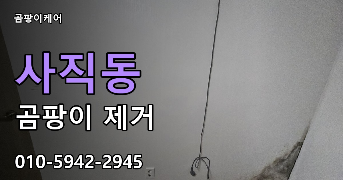 사직동 곰팡이 제거 - 곰팡이케어 실제 시공 현장
