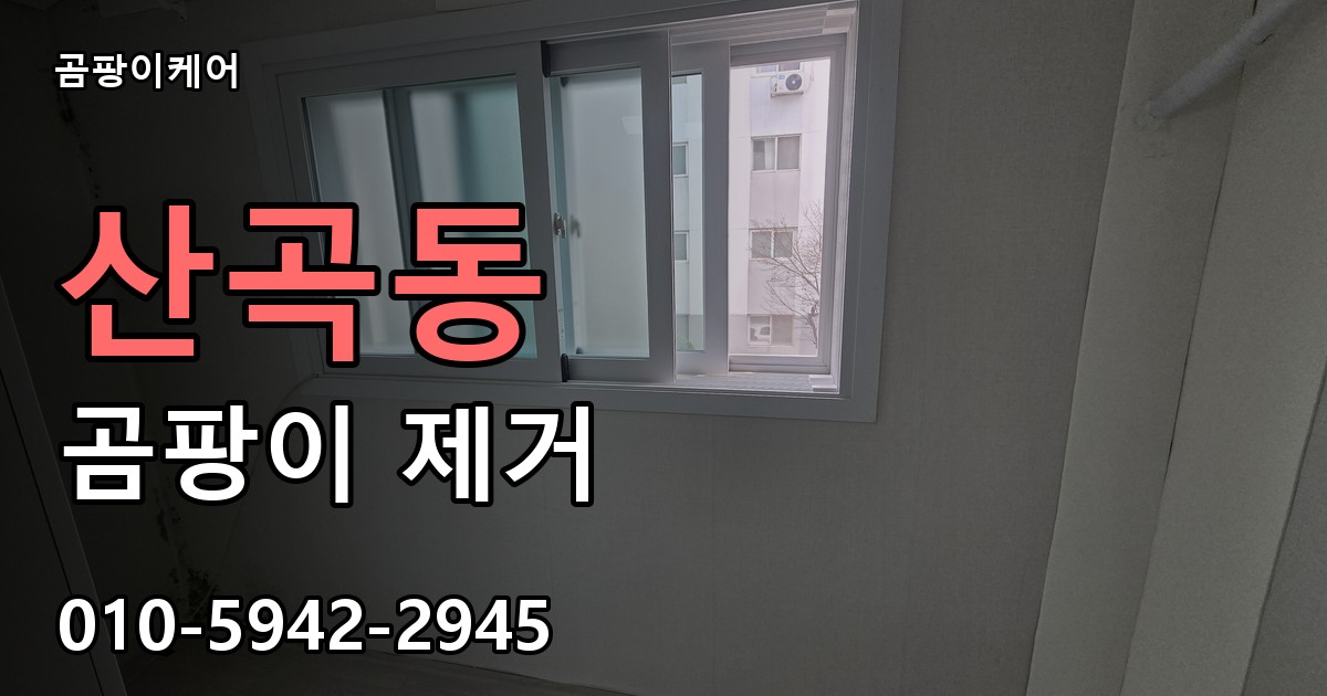 산곡동 곰팡이 제거 - 곰팡이케어 실제 시공 현장