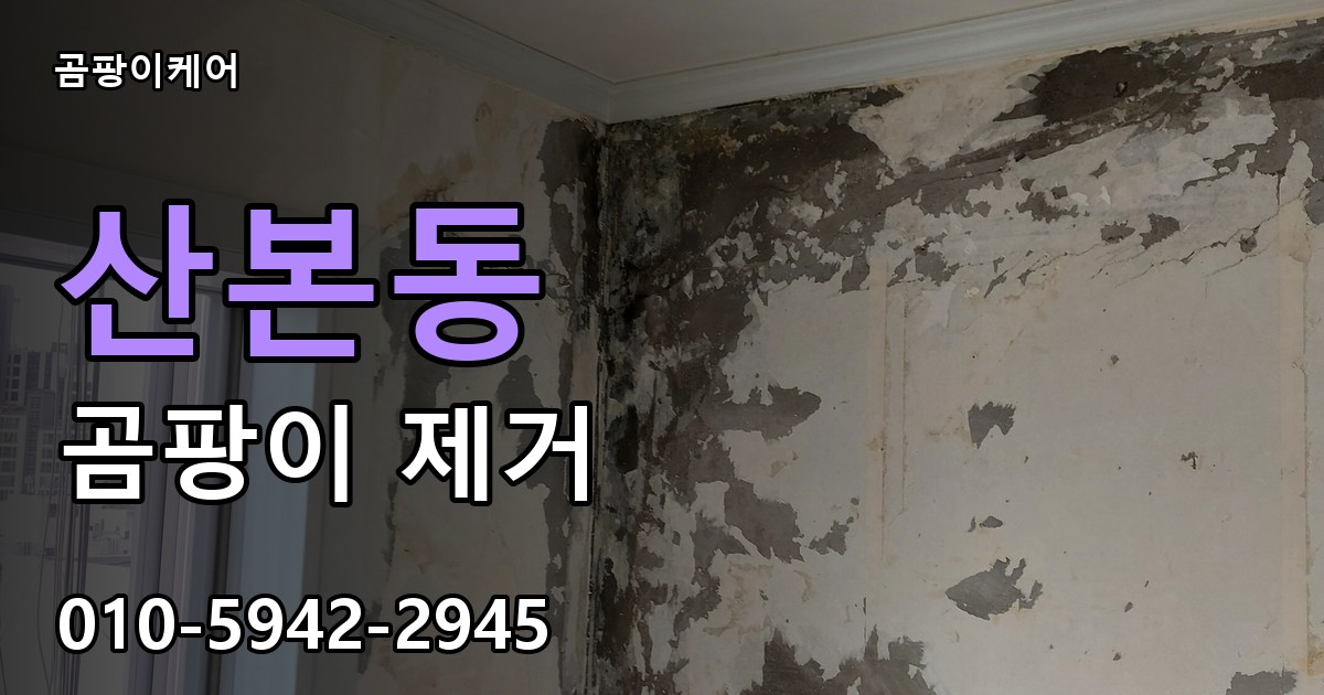 산본동 곰팡이 제거 - 곰팡이케어 실제 시공 현장