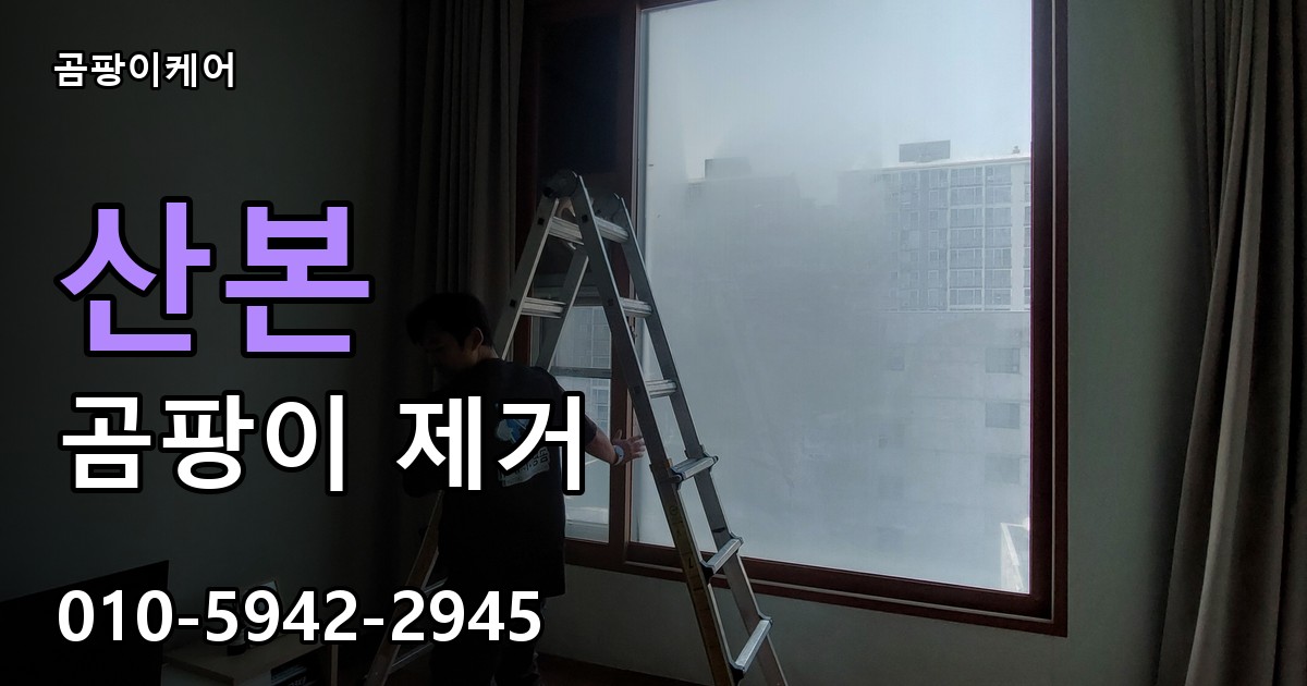 산본 곰팡이 제거 - 곰팡이케어 실제 시공 현장