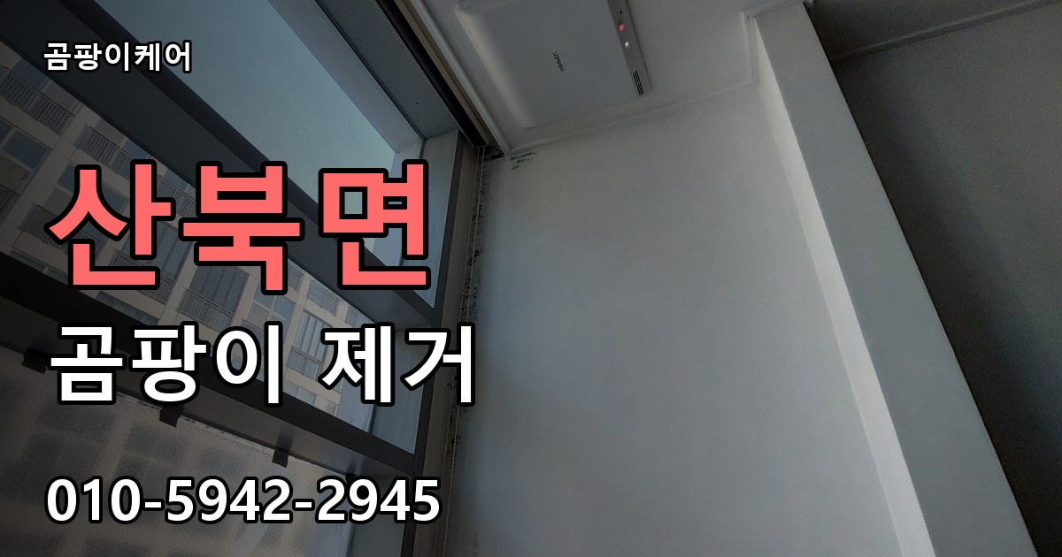 산북면 곰팡이 제거 - 곰팡이케어 실제 시공 현장