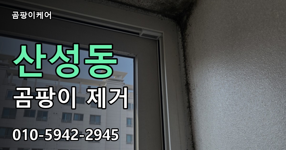 산성동 곰팡이 제거 - 곰팡이케어 실제 시공 현장