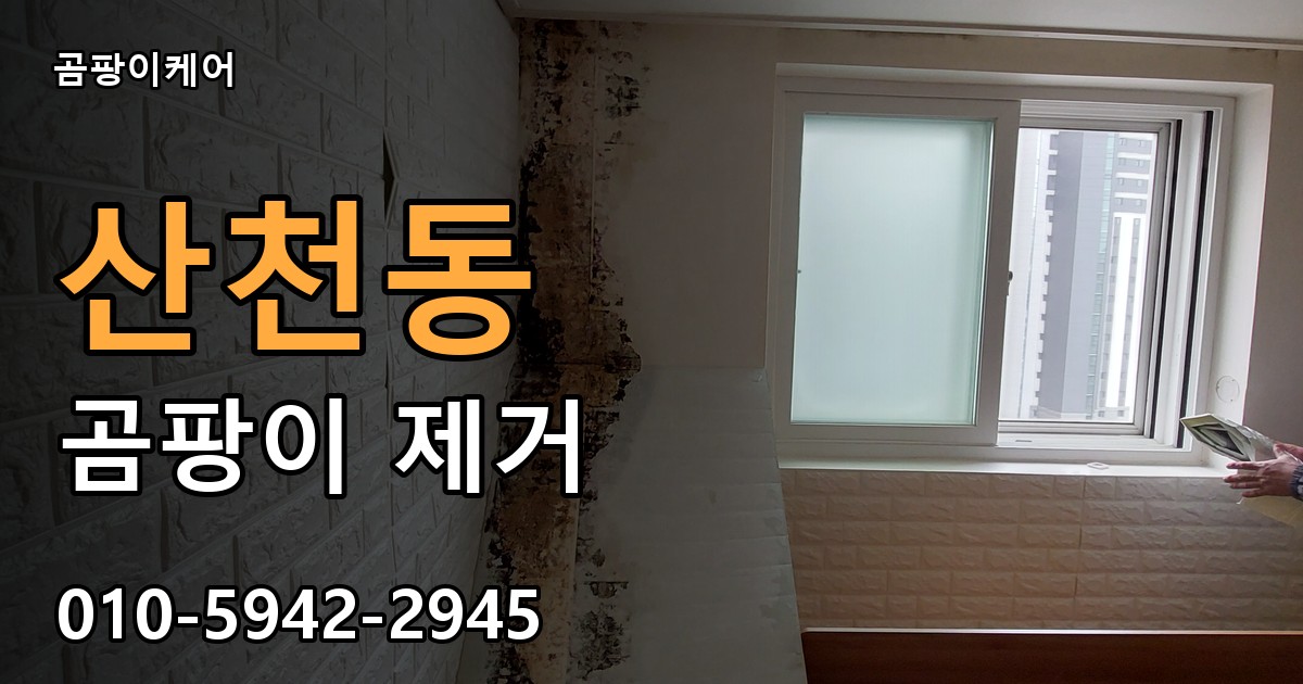 산천동 곰팡이 제거 - 곰팡이케어 실제 시공 현장