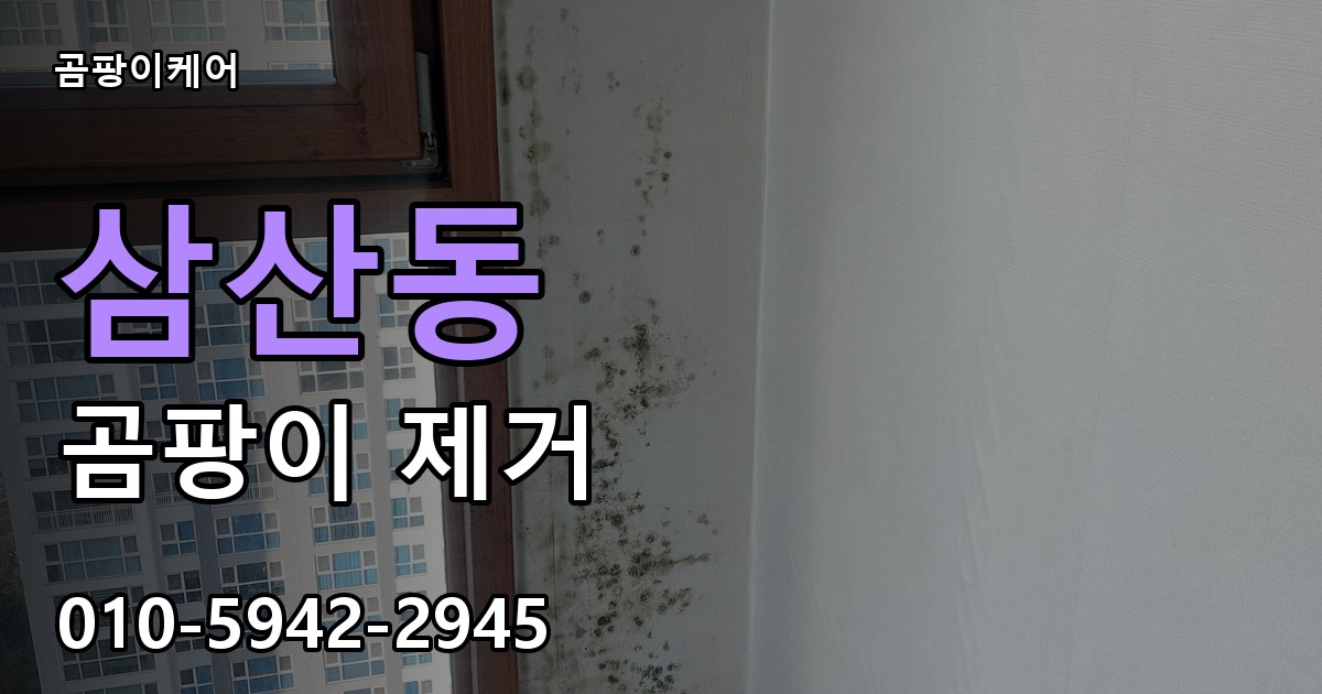 삼산동 곰팡이 제거 - 곰팡이케어 실제 시공 현장