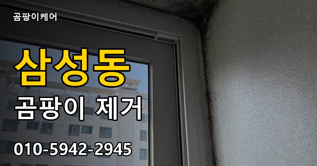 삼성동 곰팡이 제거 - 곰팡이케어 실제 시공 현장