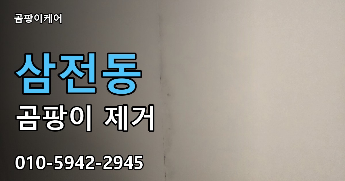 삼전동 곰팡이 제거 - 곰팡이케어 실제 시공 현장