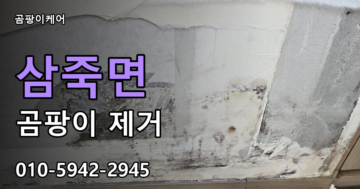 삼죽면 곰팡이 제거 - 곰팡이케어 실제 시공 현장
