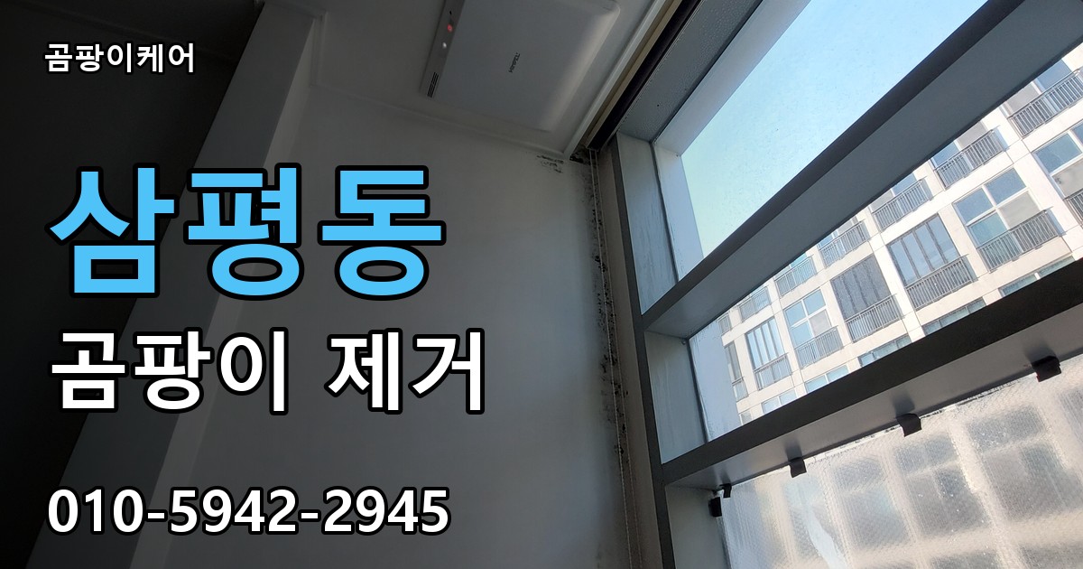 삼평동 곰팡이 제거 - 곰팡이케어 실제 시공 현장