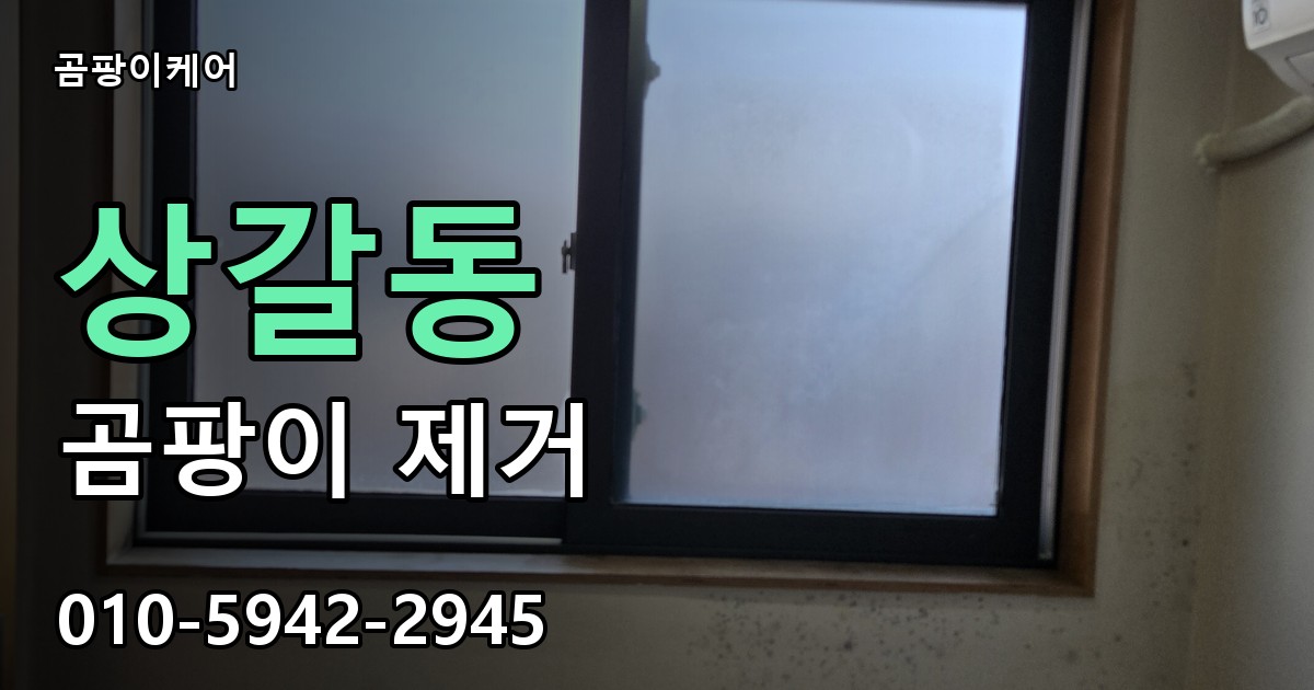 상갈동 곰팡이 제거 - 곰팡이케어 실제 시공 현장