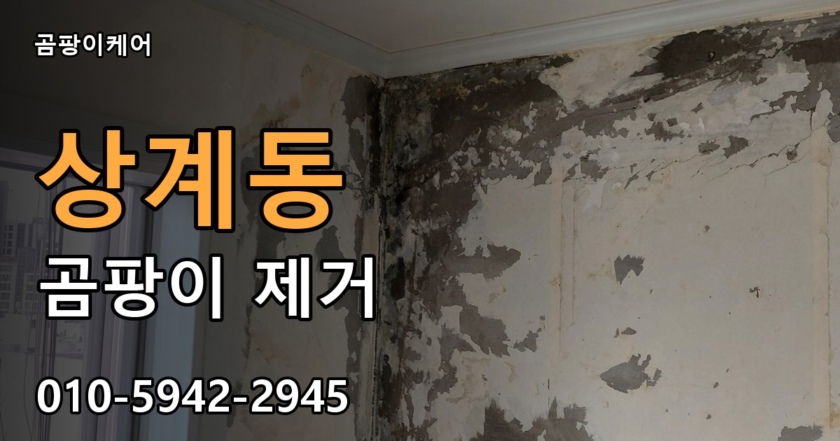상계동 곰팡이 제거 - 곰팡이케어 실제 시공 현장