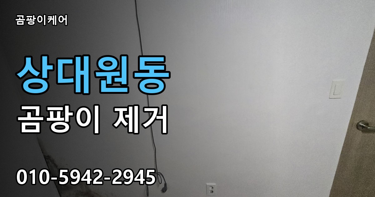 상대원동 곰팡이 제거 - 곰팡이케어 실제 시공 현장