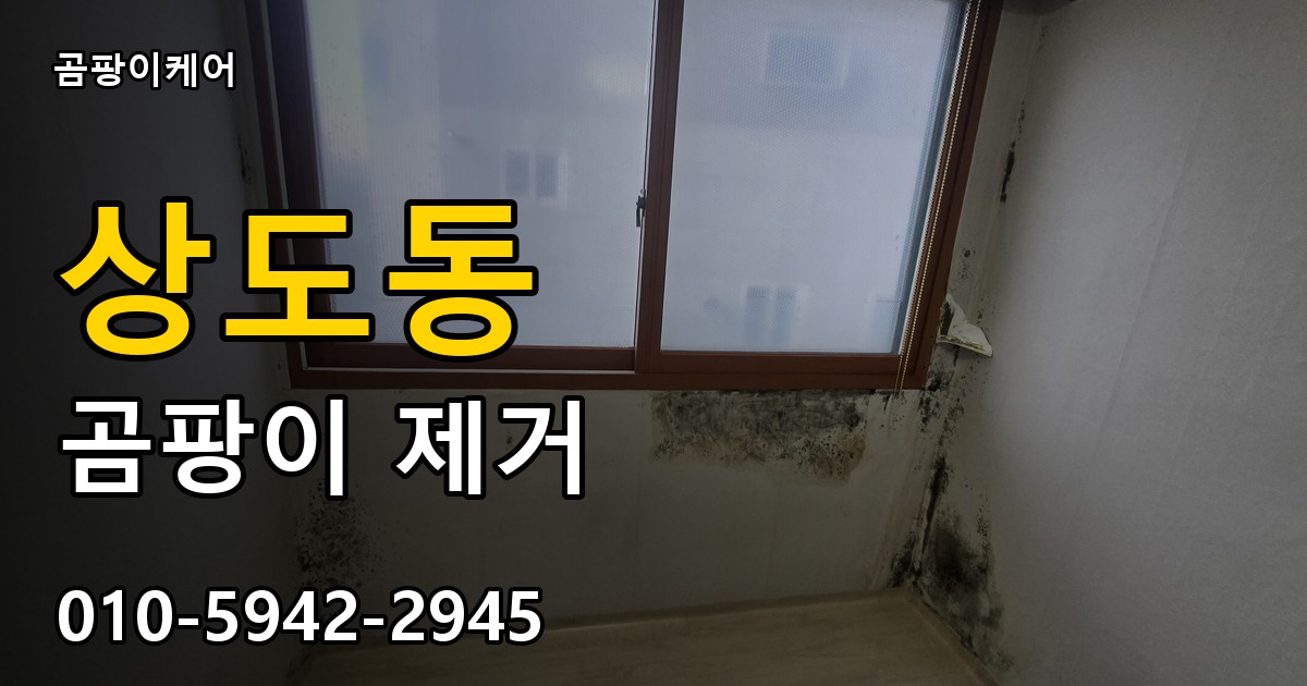 상도동 곰팡이 제거 - 곰팡이케어 실제 시공 현장