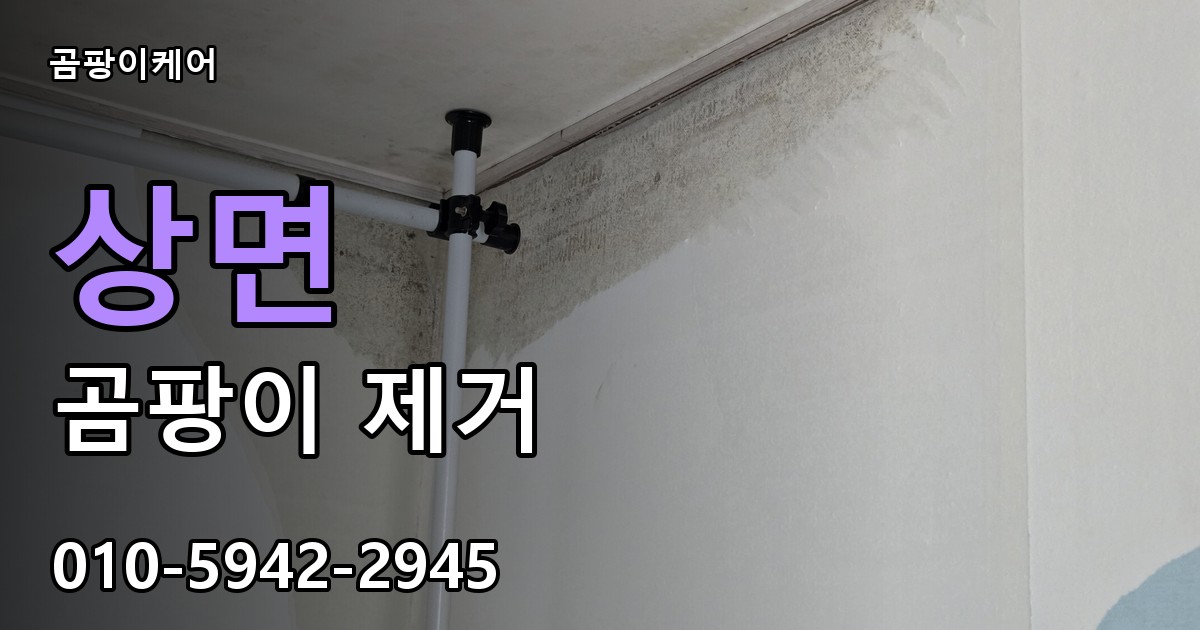 상면 곰팡이 제거 - 곰팡이케어 실제 시공 현장