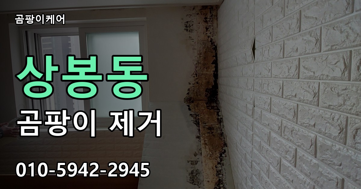 상봉동 곰팡이 제거 - 곰팡이케어 실제 시공 현장