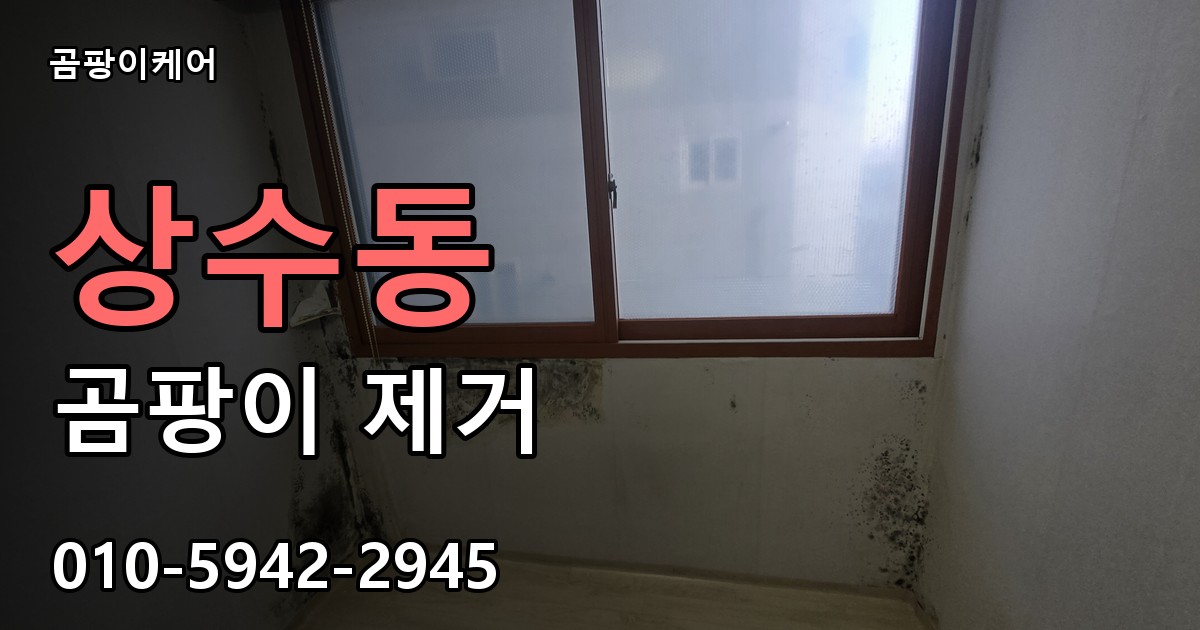 상수동 곰팡이 제거 - 곰팡이케어 실제 시공 현장