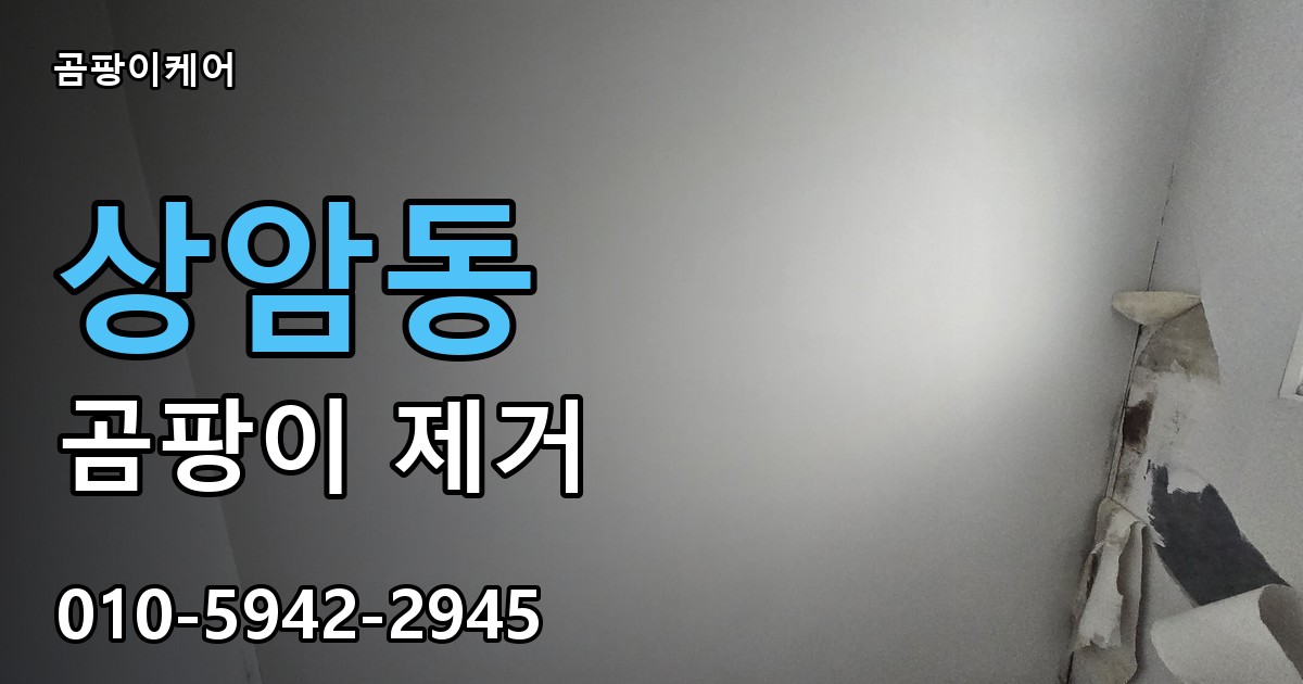 상암동 곰팡이 제거 - 곰팡이케어 실제 시공 현장
