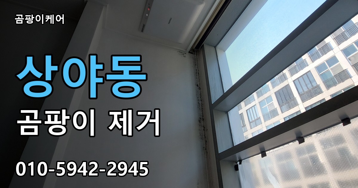 상야동 곰팡이 제거 - 곰팡이케어 실제 시공 현장
