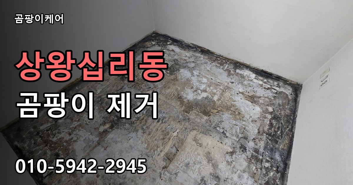 상왕십리동 곰팡이 제거 - 곰팡이케어 실제 시공 현장