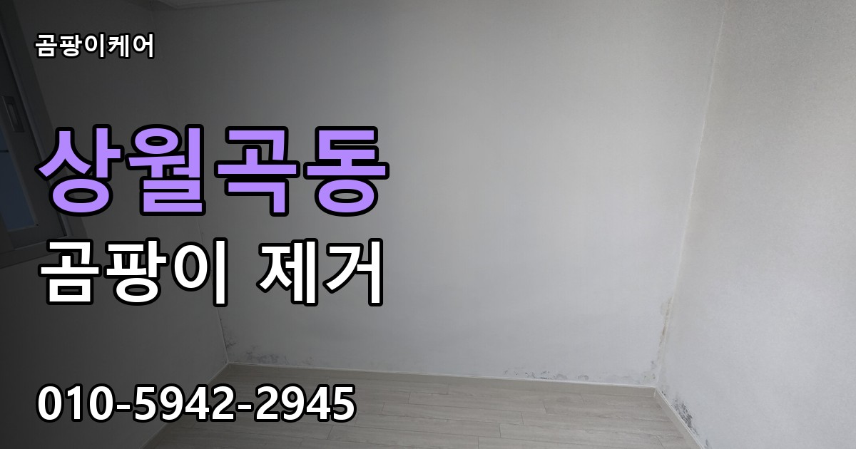 상월곡동 곰팡이 제거 - 곰팡이케어 실제 시공 현장