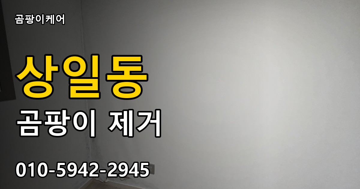 상일동 곰팡이 제거 - 곰팡이케어 실제 시공 현장