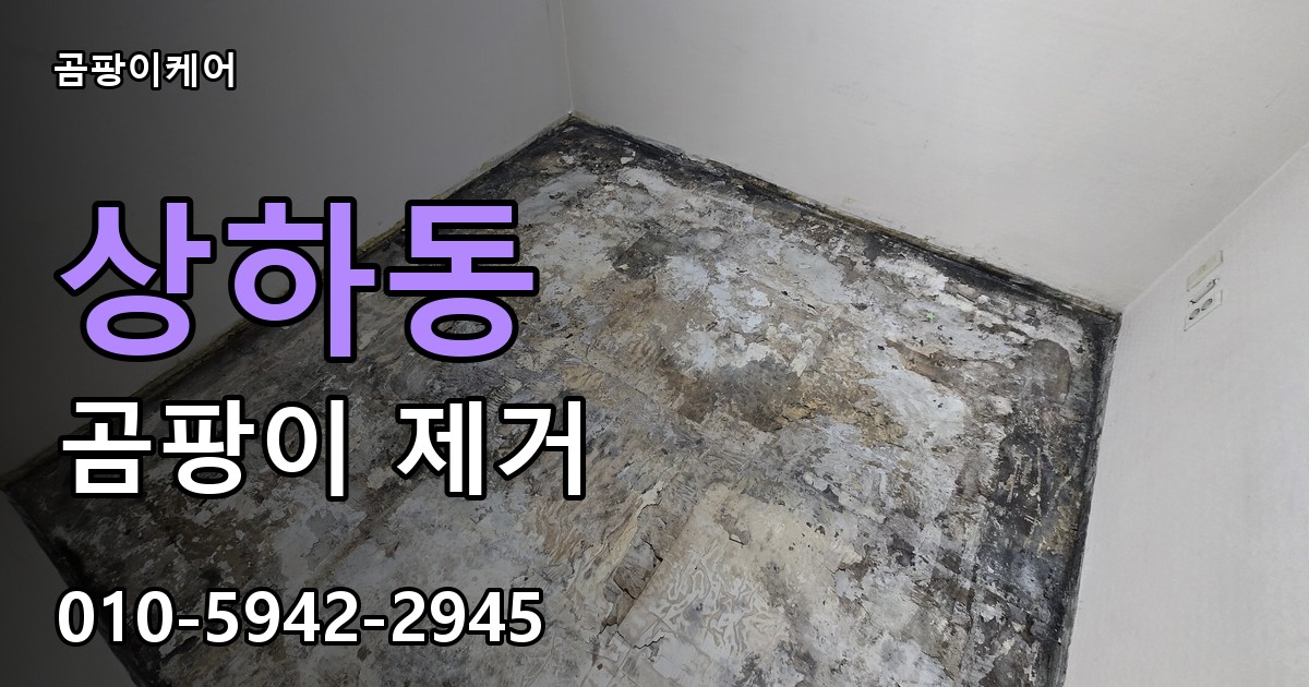 상하동 곰팡이 제거 - 곰팡이케어 실제 시공 현장