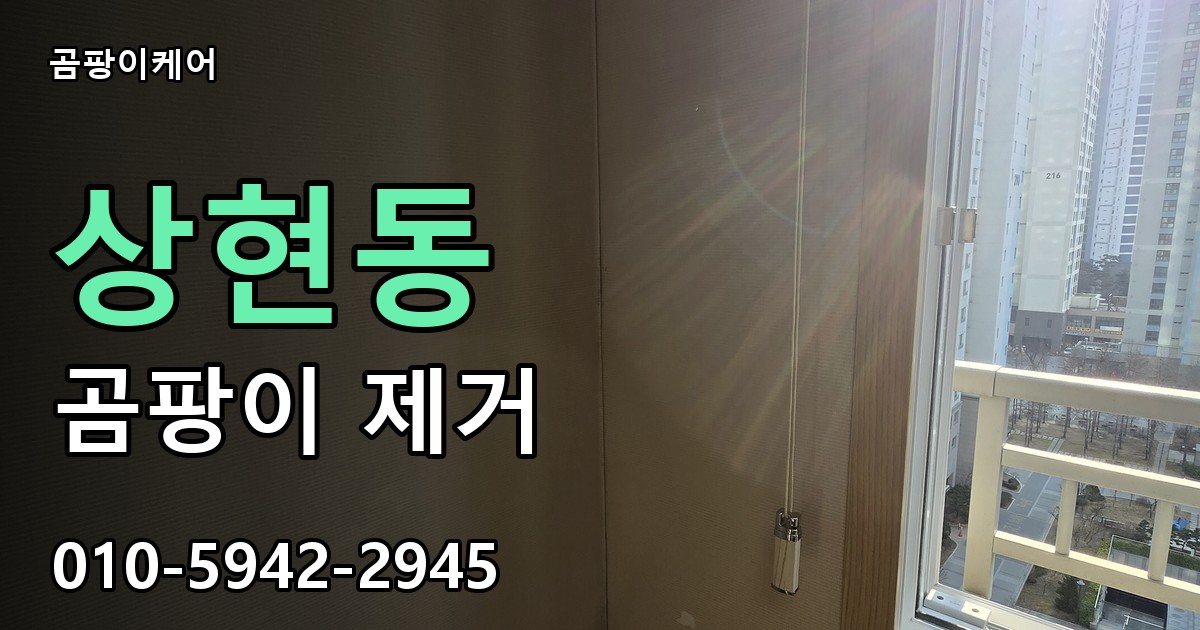 상현동 곰팡이 제거 - 곰팡이케어 실제 시공 현장