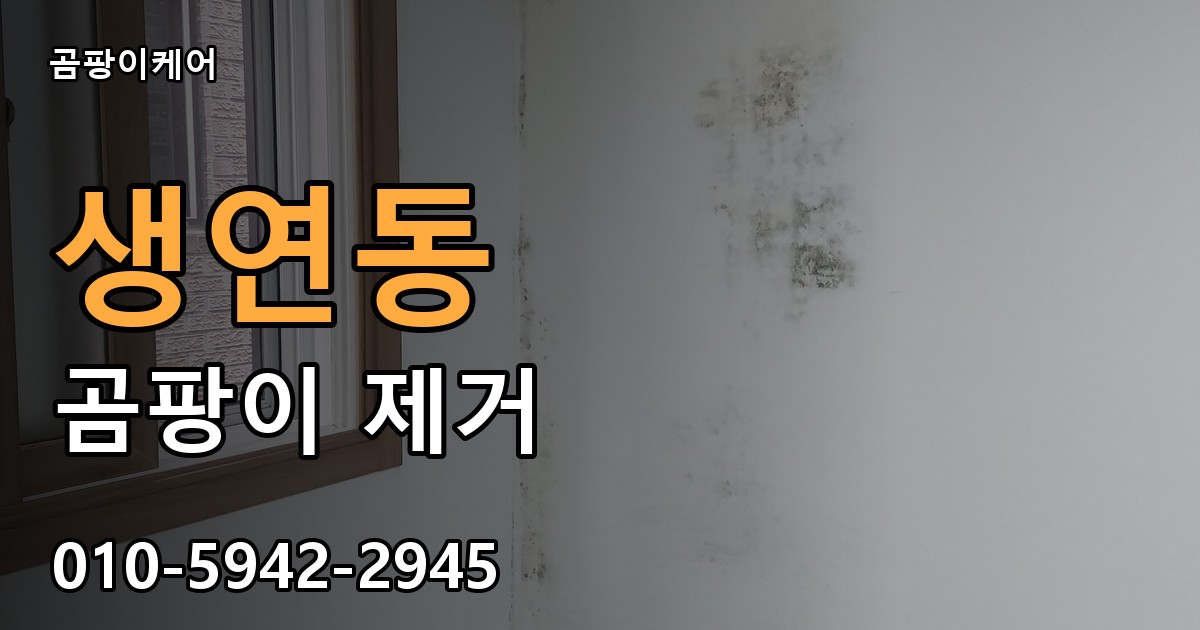 생연동 곰팡이 제거 - 곰팡이케어 실제 시공 현장