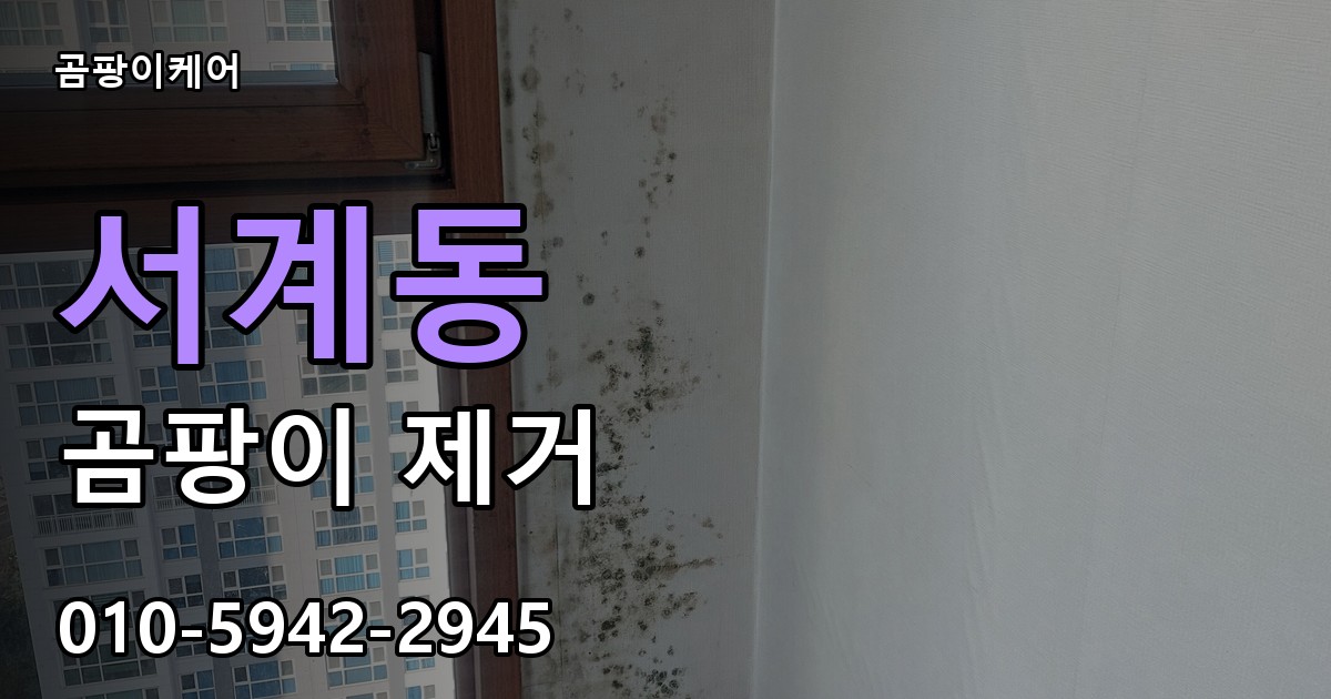 서계동 곰팡이 제거 - 곰팡이케어 실제 시공 현장