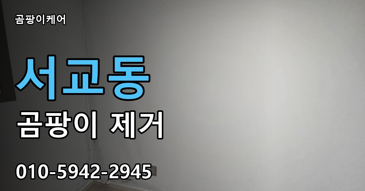 서교동 곰팡이 제거 - 곰팡이케어 실제 시공 현장