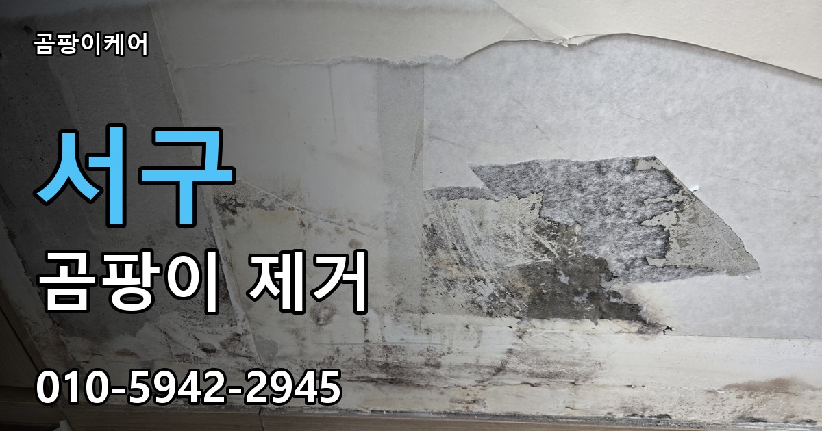 서구 곰팡이 제거 - 곰팡이케어 실제 시공 현장