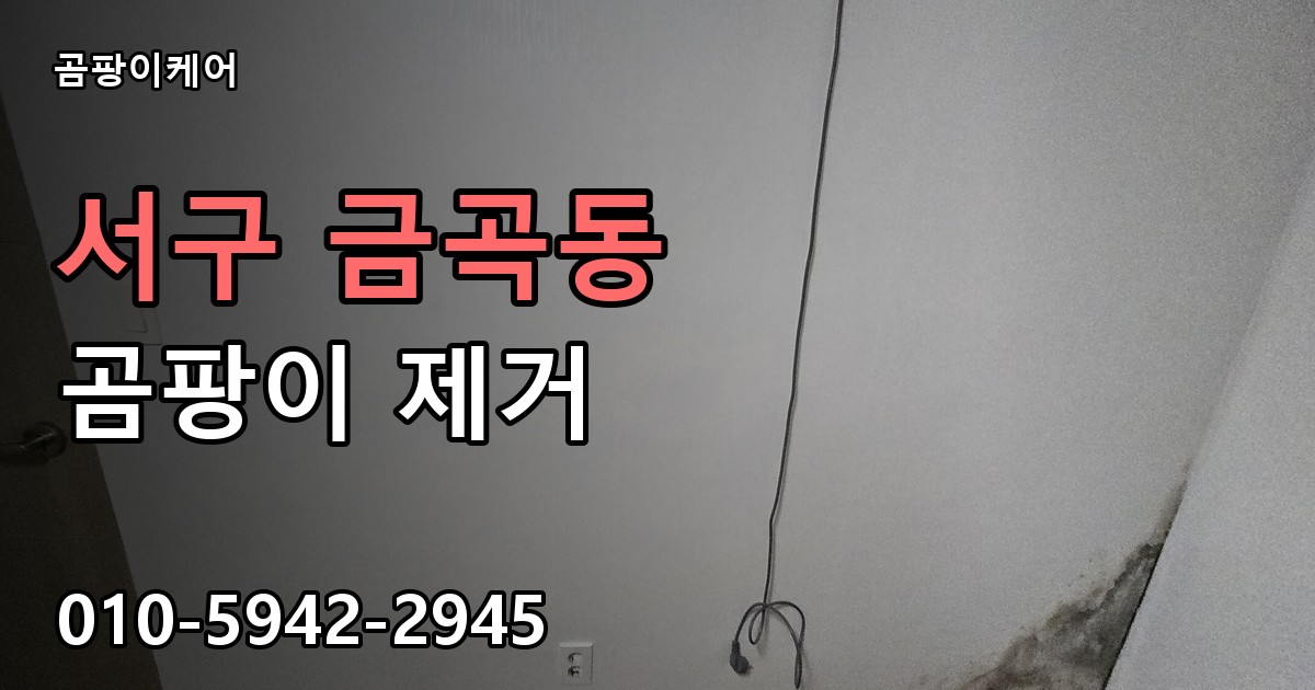 서구 금곡동 곰팡이 제거 - 곰팡이케어 실제 시공 현장