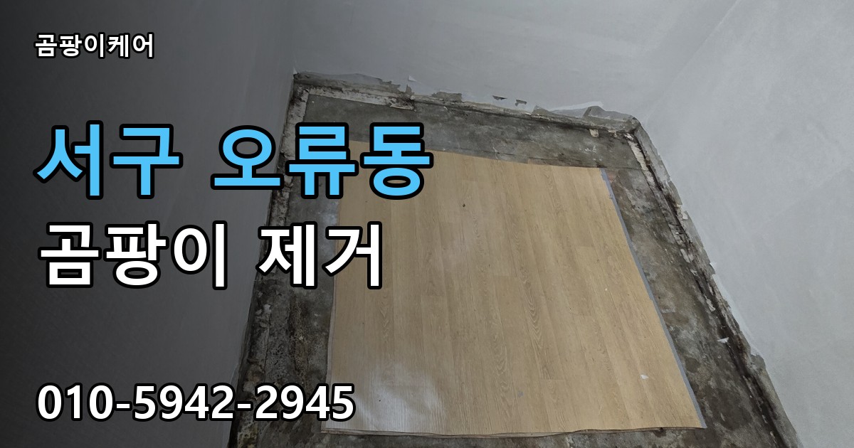 서구 오류동 곰팡이 제거 - 곰팡이케어 실제 시공 현장