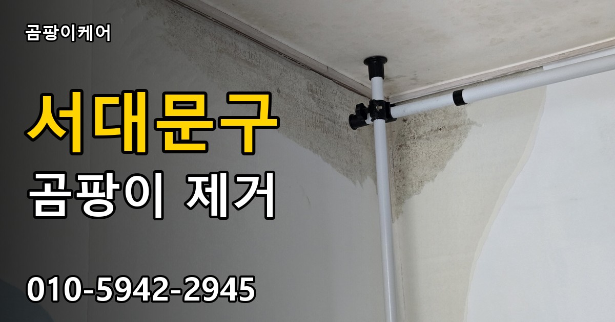 서대문구 곰팡이 제거 - 곰팡이케어 실제 시공 현장