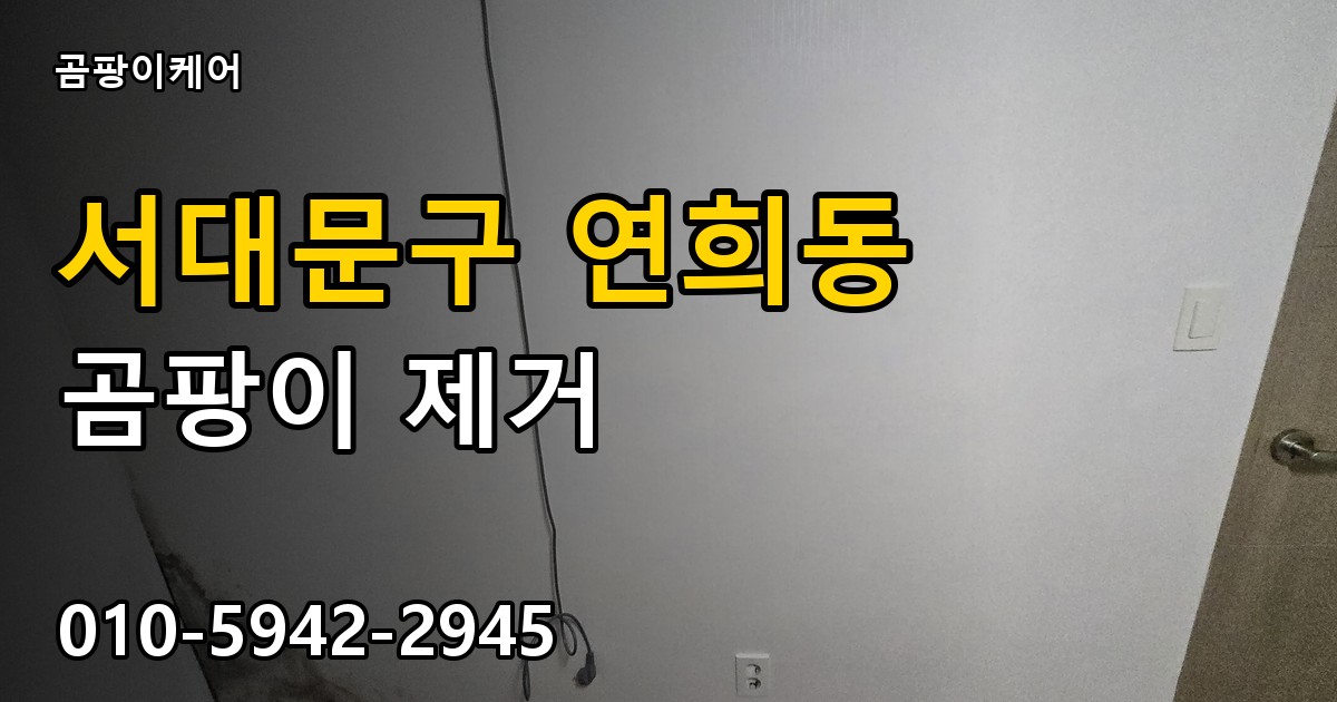 서대문구 연희동 곰팡이 제거 - 곰팡이케어 실제 시공 현장