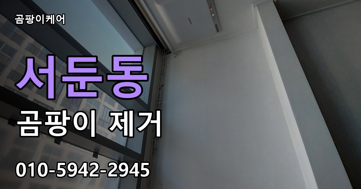 서둔동 곰팡이 제거 - 곰팡이케어 실제 시공 현장