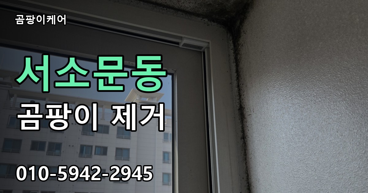 서소문동 곰팡이 제거 - 곰팡이케어 실제 시공 현장