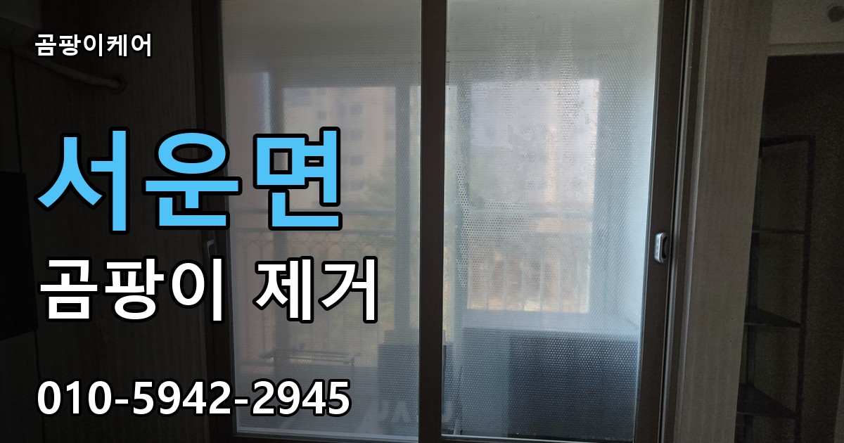 서운면 곰팡이 제거 - 곰팡이케어 실제 시공 현장