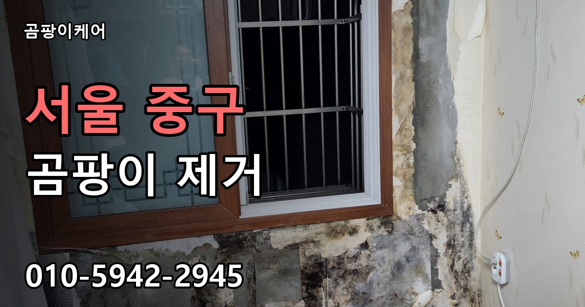 서울 중구 곰팡이 제거 - 곰팡이케어 실제 시공 현장