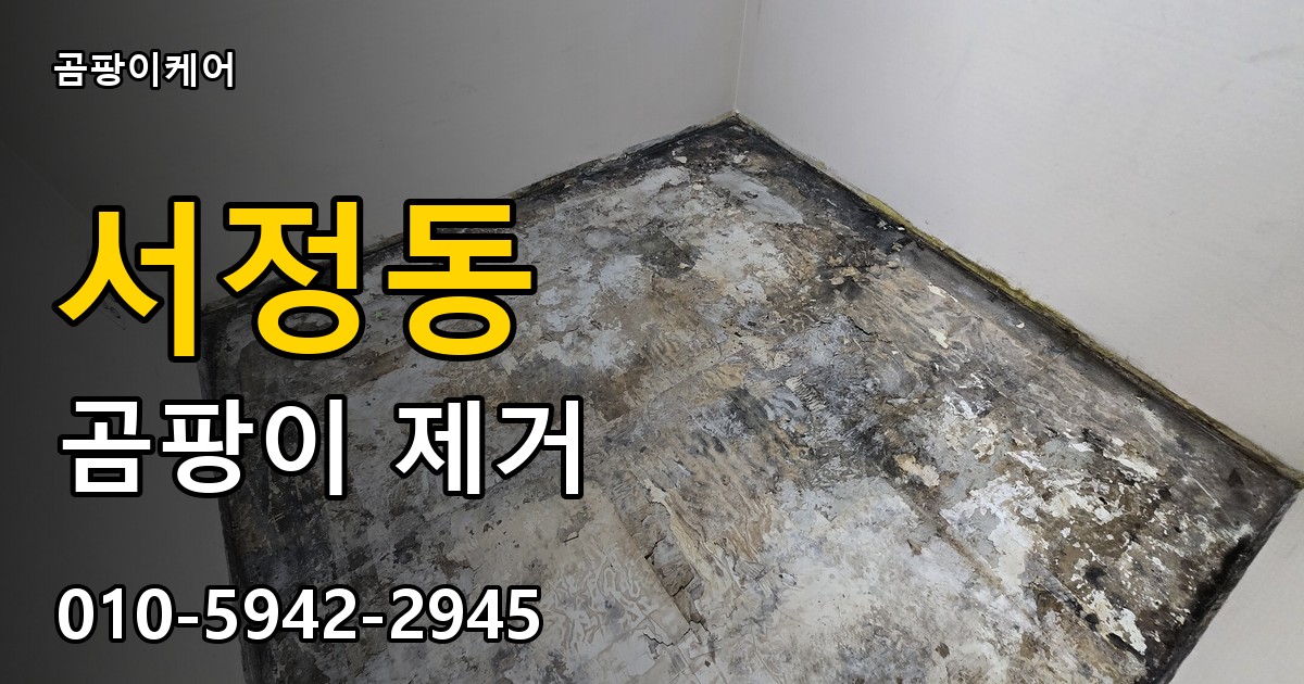 서정동 곰팡이 제거 - 곰팡이케어 실제 시공 현장