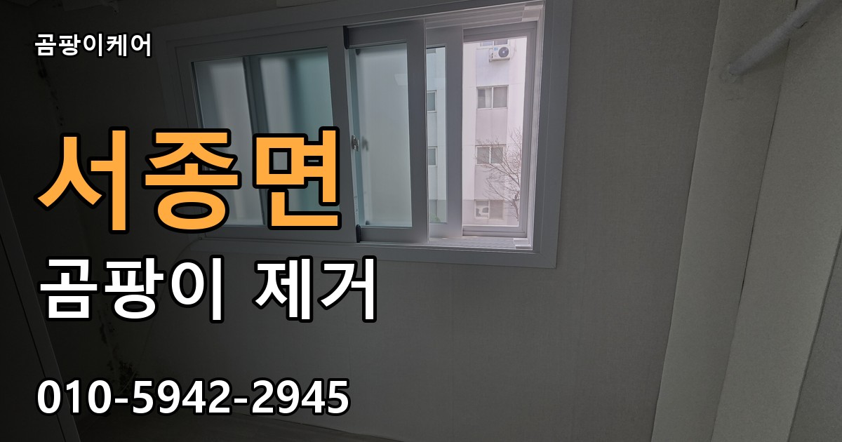 서종면 곰팡이 제거 - 곰팡이케어 실제 시공 현장