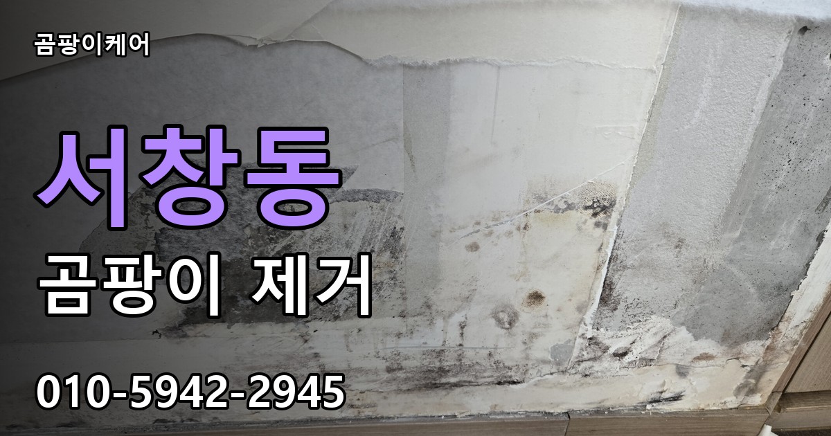 서창동 곰팡이 제거 - 곰팡이케어 실제 시공 현장
