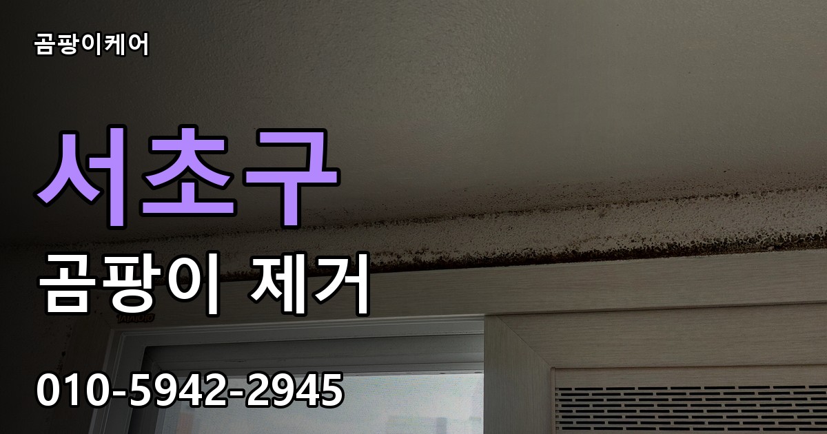 서초구 곰팡이 제거 - 곰팡이케어 실제 시공 현장