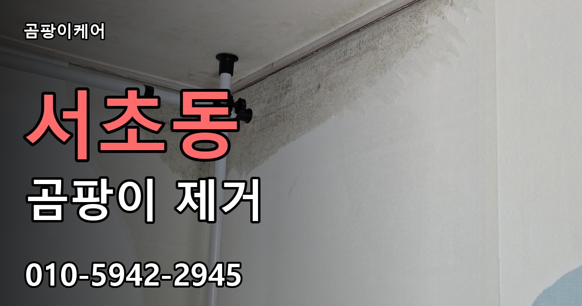 서초동 곰팡이 제거 - 곰팡이케어 실제 시공 현장