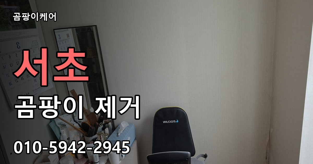 서초 곰팡이 제거 - 곰팡이케어 실제 시공 현장