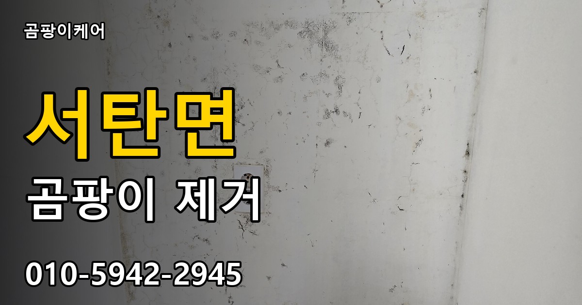 서탄면 곰팡이 제거 - 곰팡이케어 실제 시공 현장